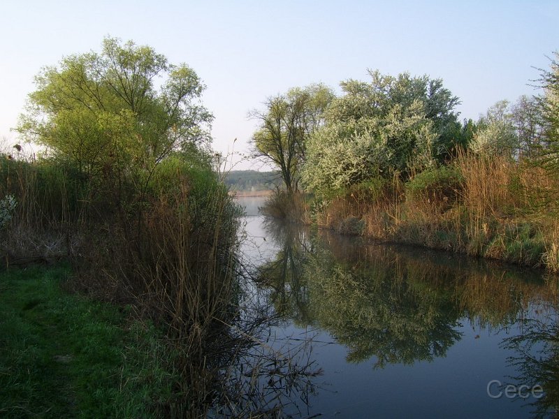 SSA40494.JPG