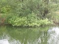 102_0280