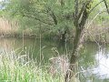 102_0281