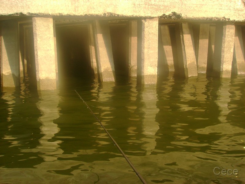 DSC00010.JPG
