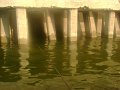 DSC00010