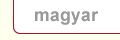 Magyar honlap