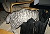 PICT5311.jpg