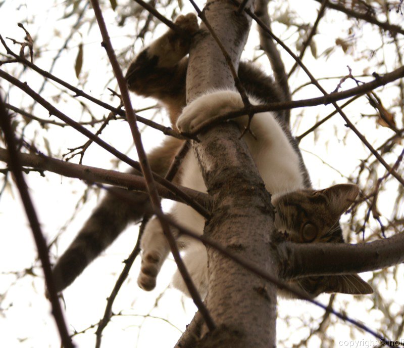 PICT3387.jpg