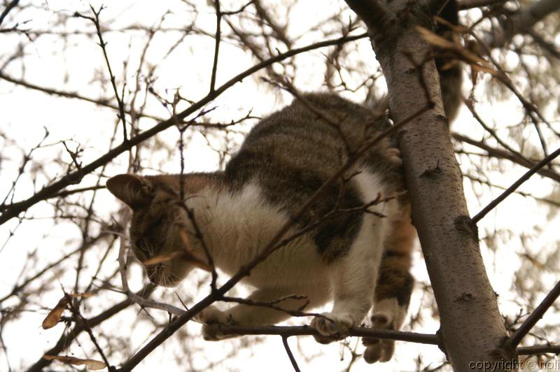 PICT3399.jpg