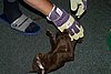 PICT5643.jpg