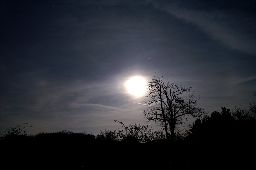 photo.jpg