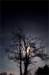 photo11_small.jpg