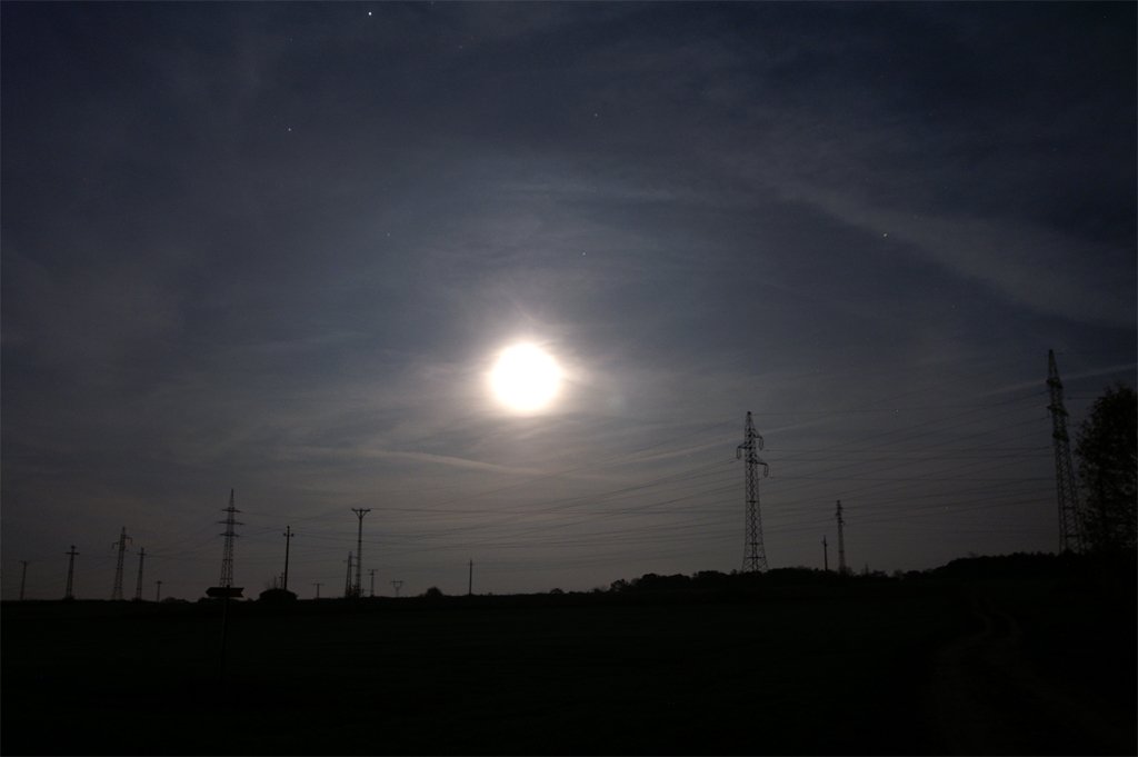photo12.jpg