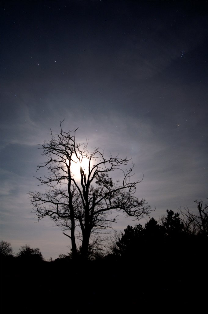 photo4.jpg