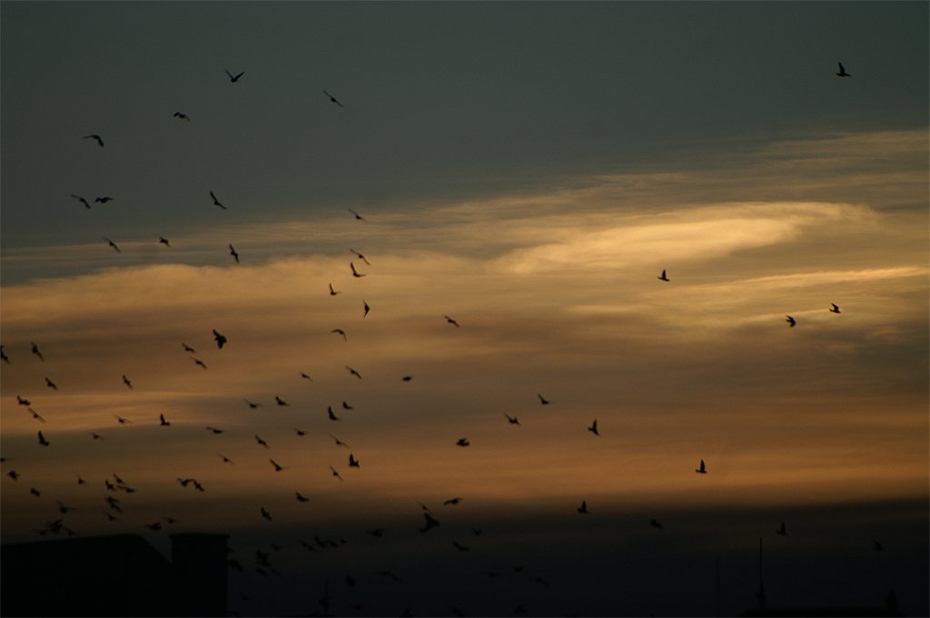 pict4516.jpg