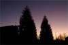 photo4_small.jpg