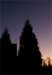 photo5_small.jpg