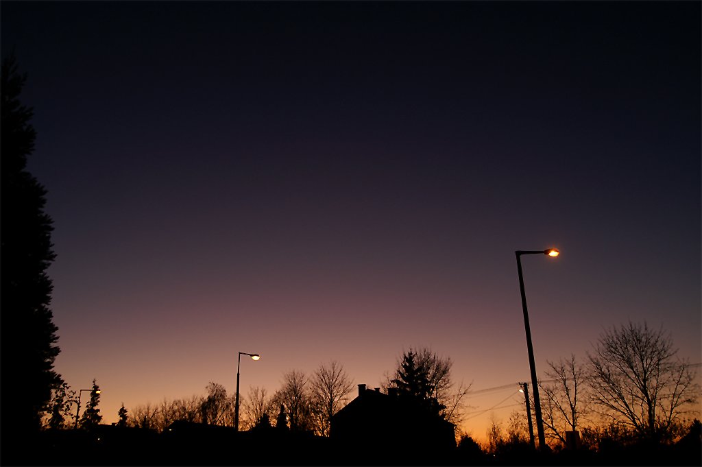 photo6.jpg