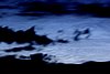 nlc062802.jpg