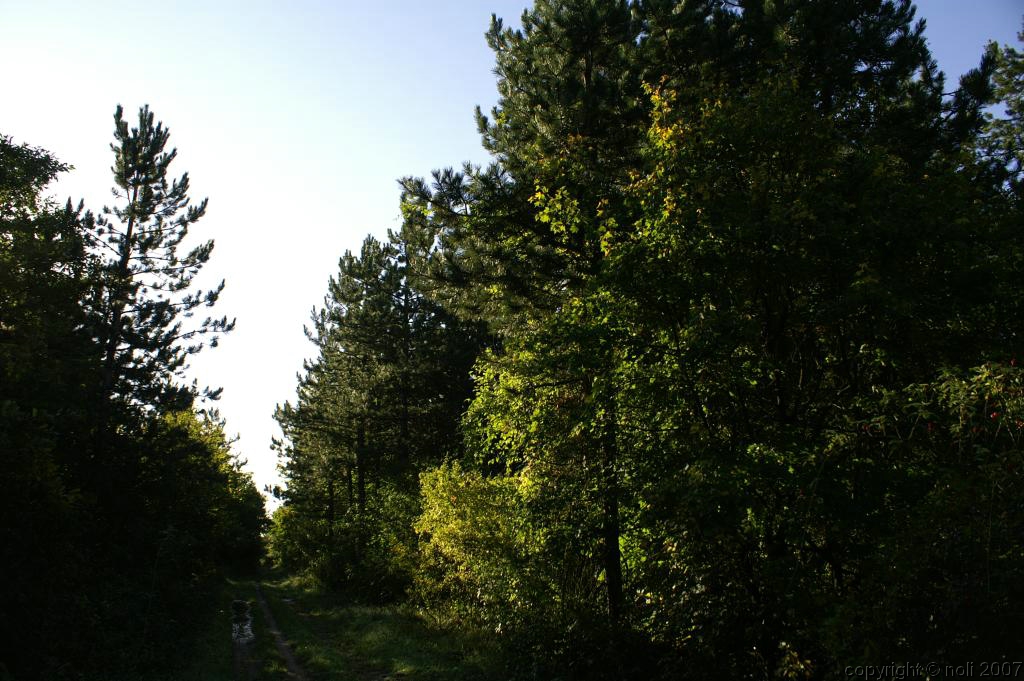 _ICT8751.jpg