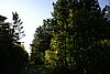 _ICT8751.jpg
