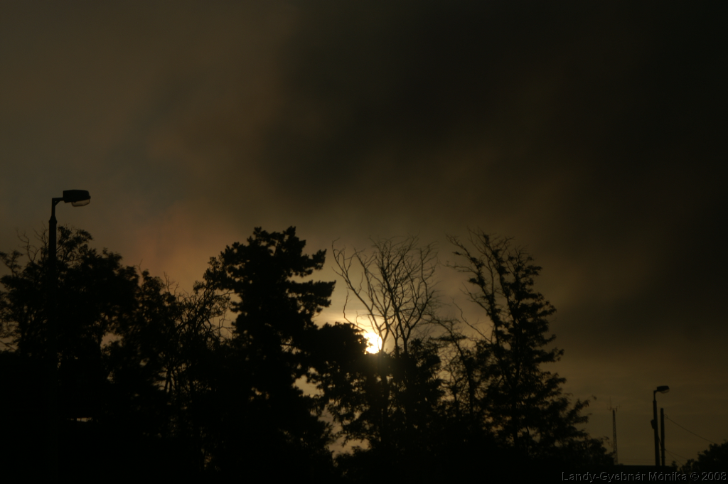 PICT0935.png