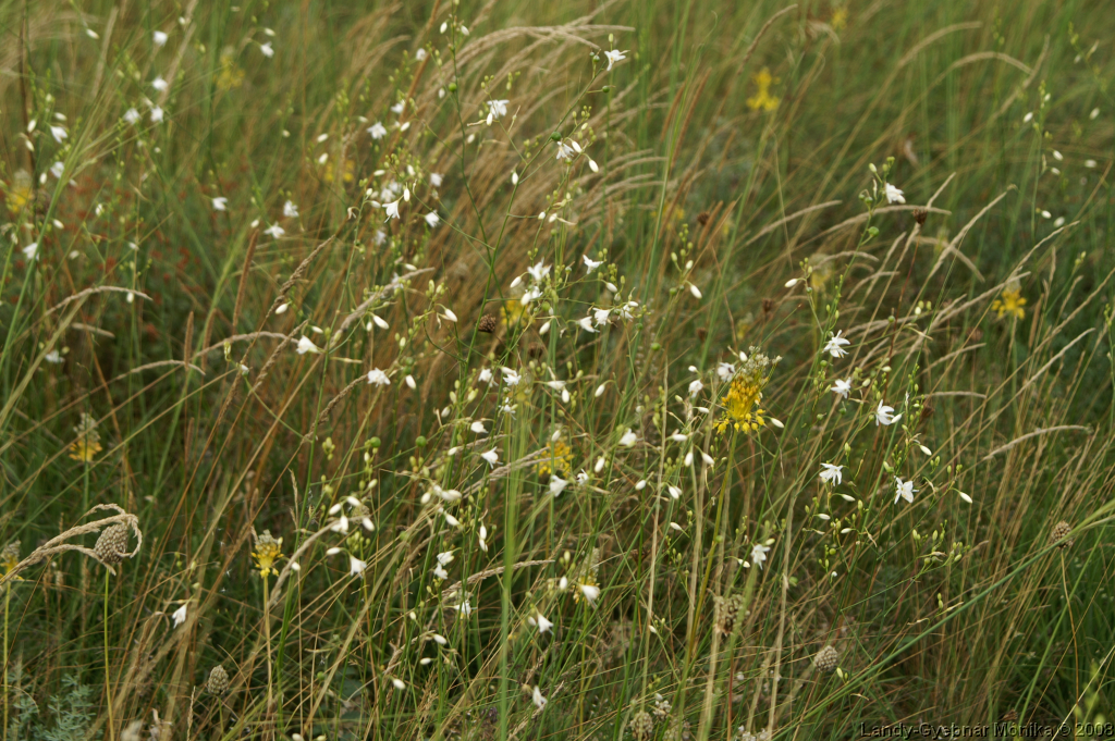 PICT1082.png