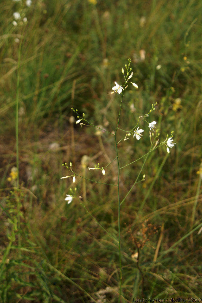 PICT1084.png