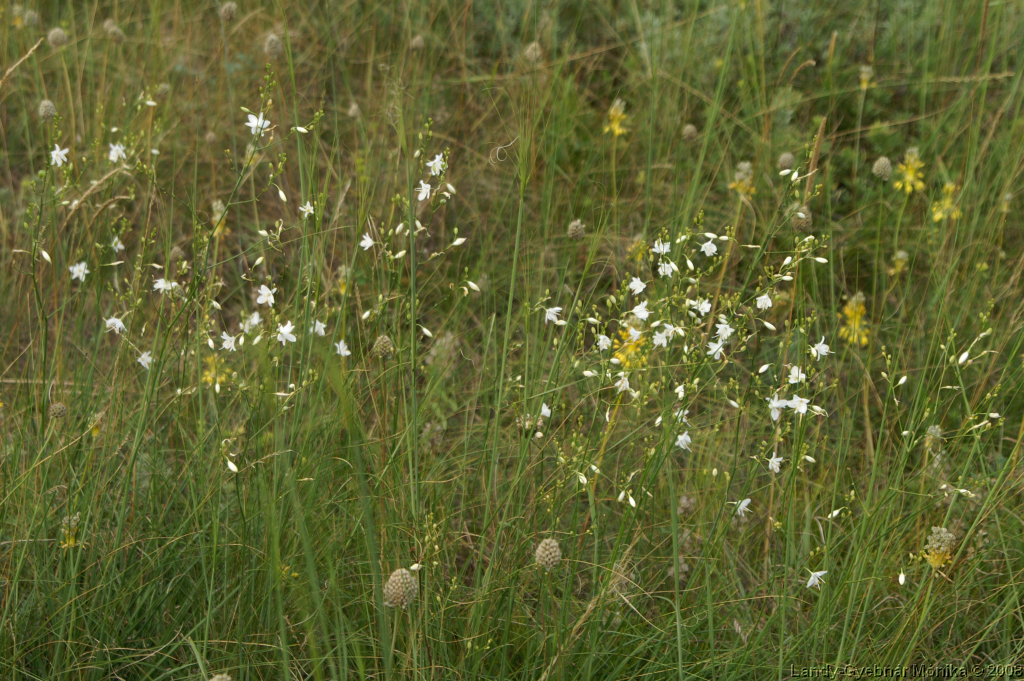 PICT1101.png