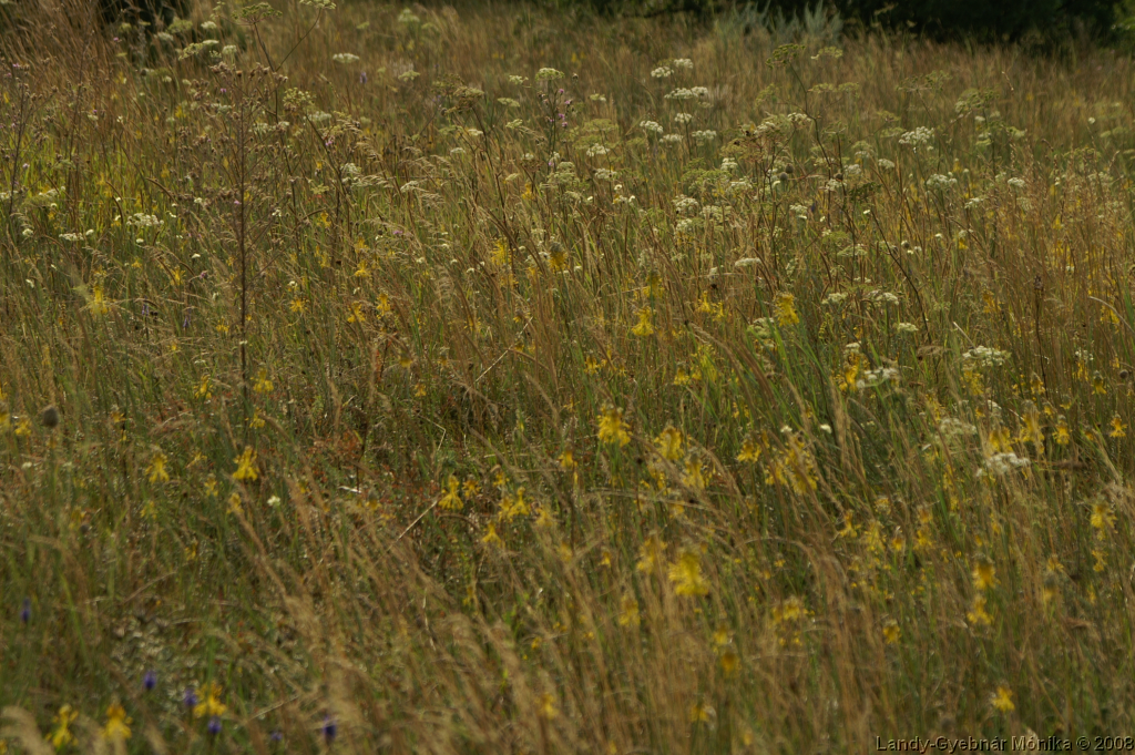 PICT1180.png