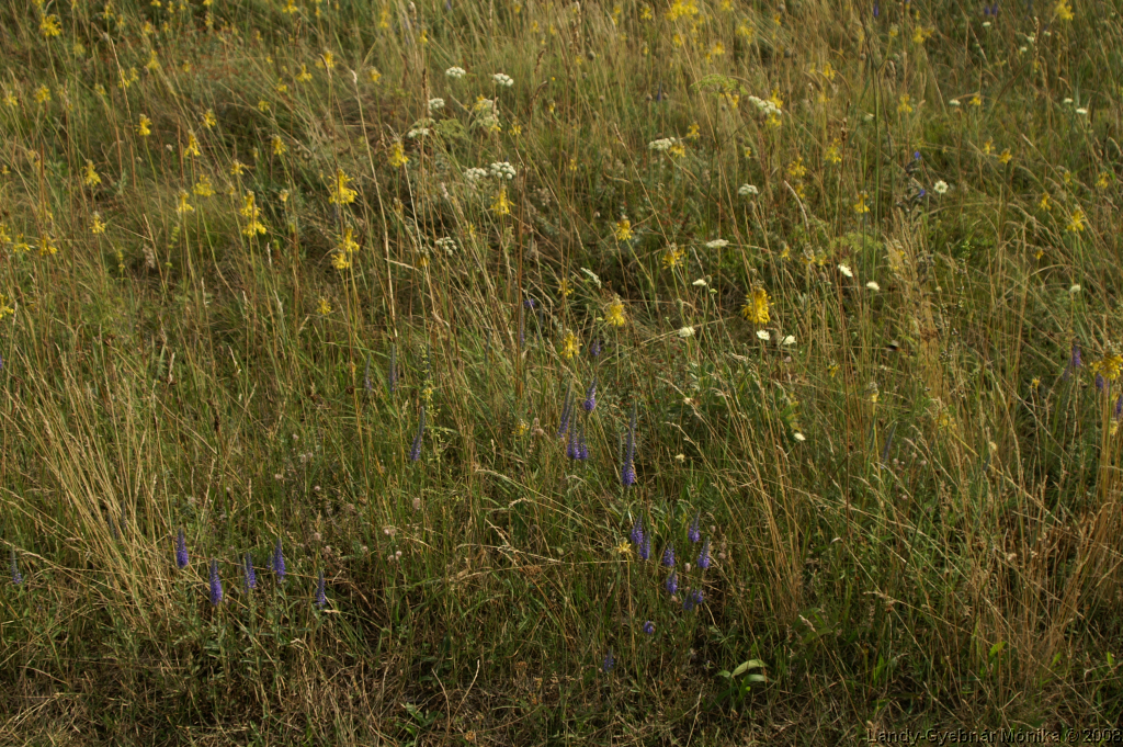 PICT1183.png