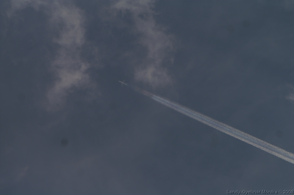 PICT1208.png