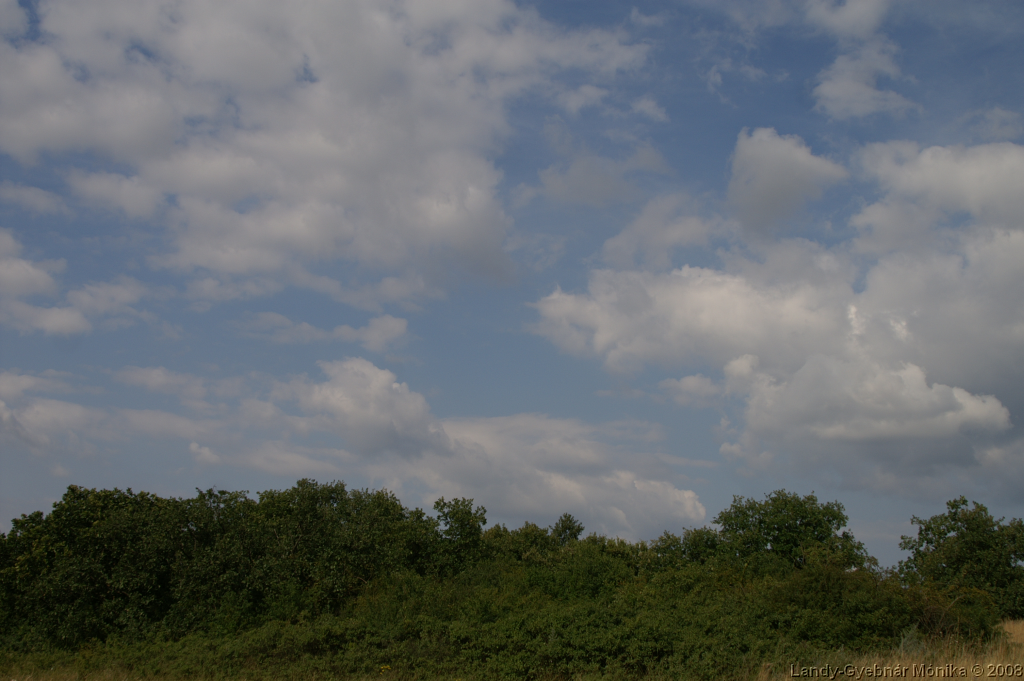 PICT1217.png