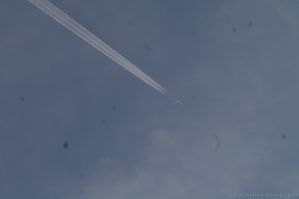 PICT1234.png