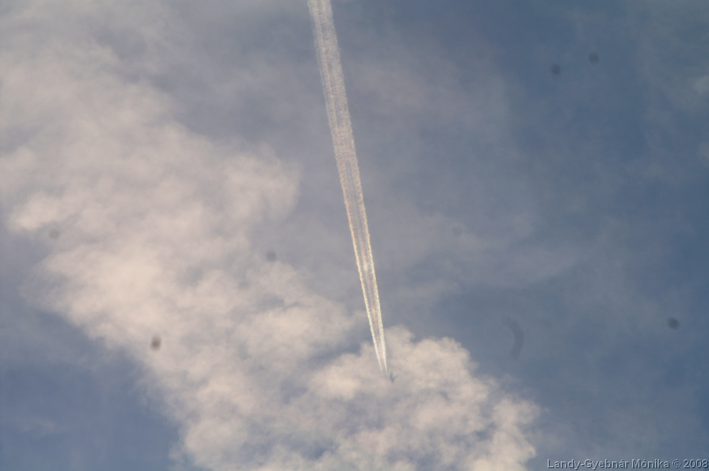 PICT1242.png