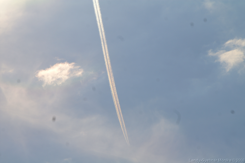 PICT1250.png