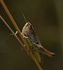 PICT0962.png