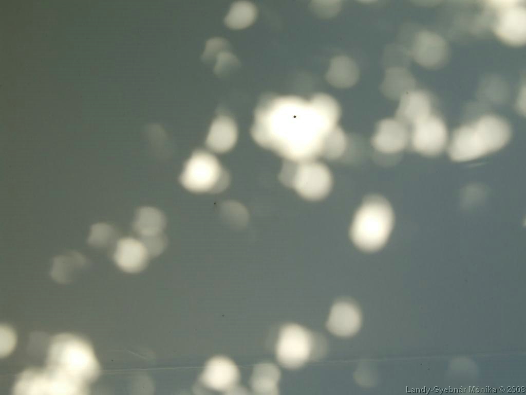 DSCF0376.jpg