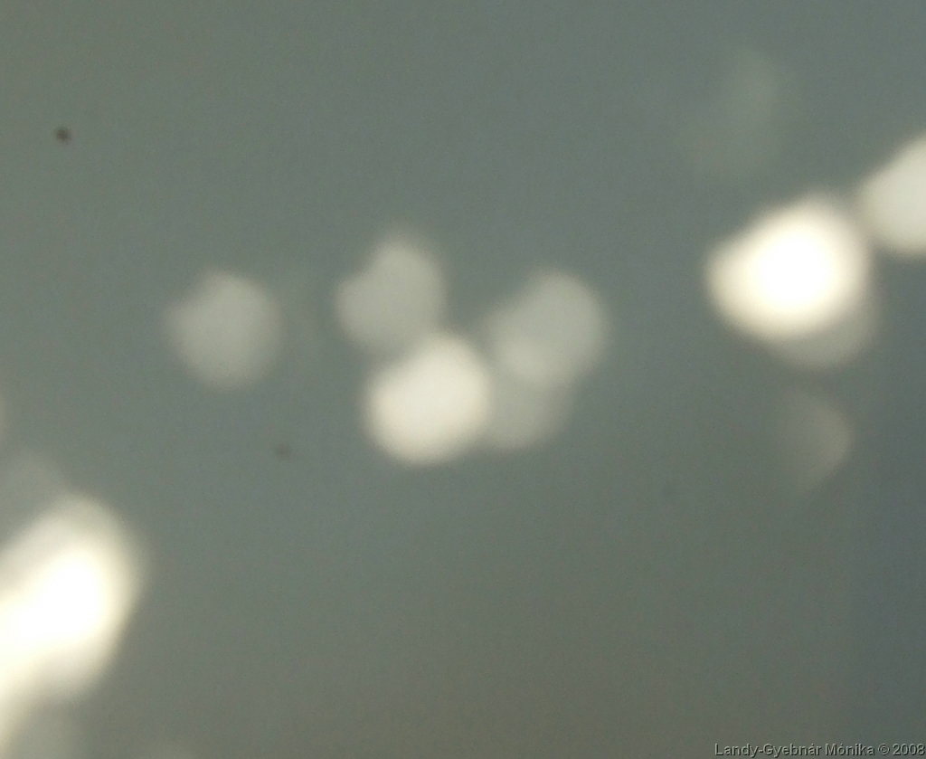 DSCF0379.jpg