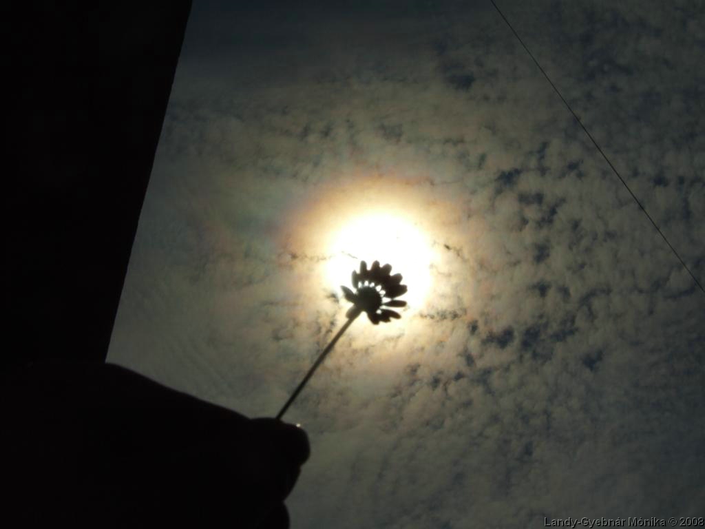 DSCF0405.jpg