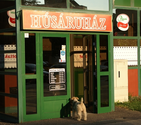 beillesztett kép
