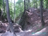 06.jpg