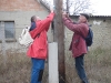 05.jpg