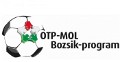 Általános képek: bozsiklogo.jpg