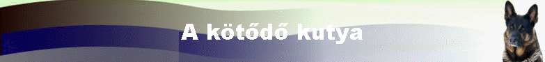 A k�t�d� kutya