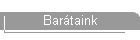 Bartaink