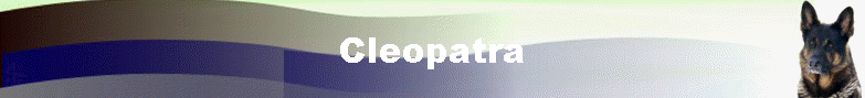 Cleopatra