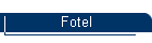 Fotel