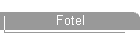 Fotel
