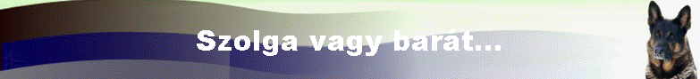 Szolga vagy bar�t...