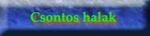 Csontos halak