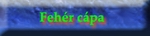 Cpk
