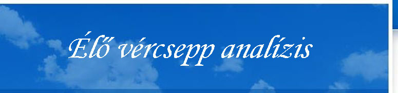 elovercseppanalizis.com