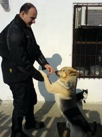 Gabo �s rettenthetetlen vad�llatai! :P